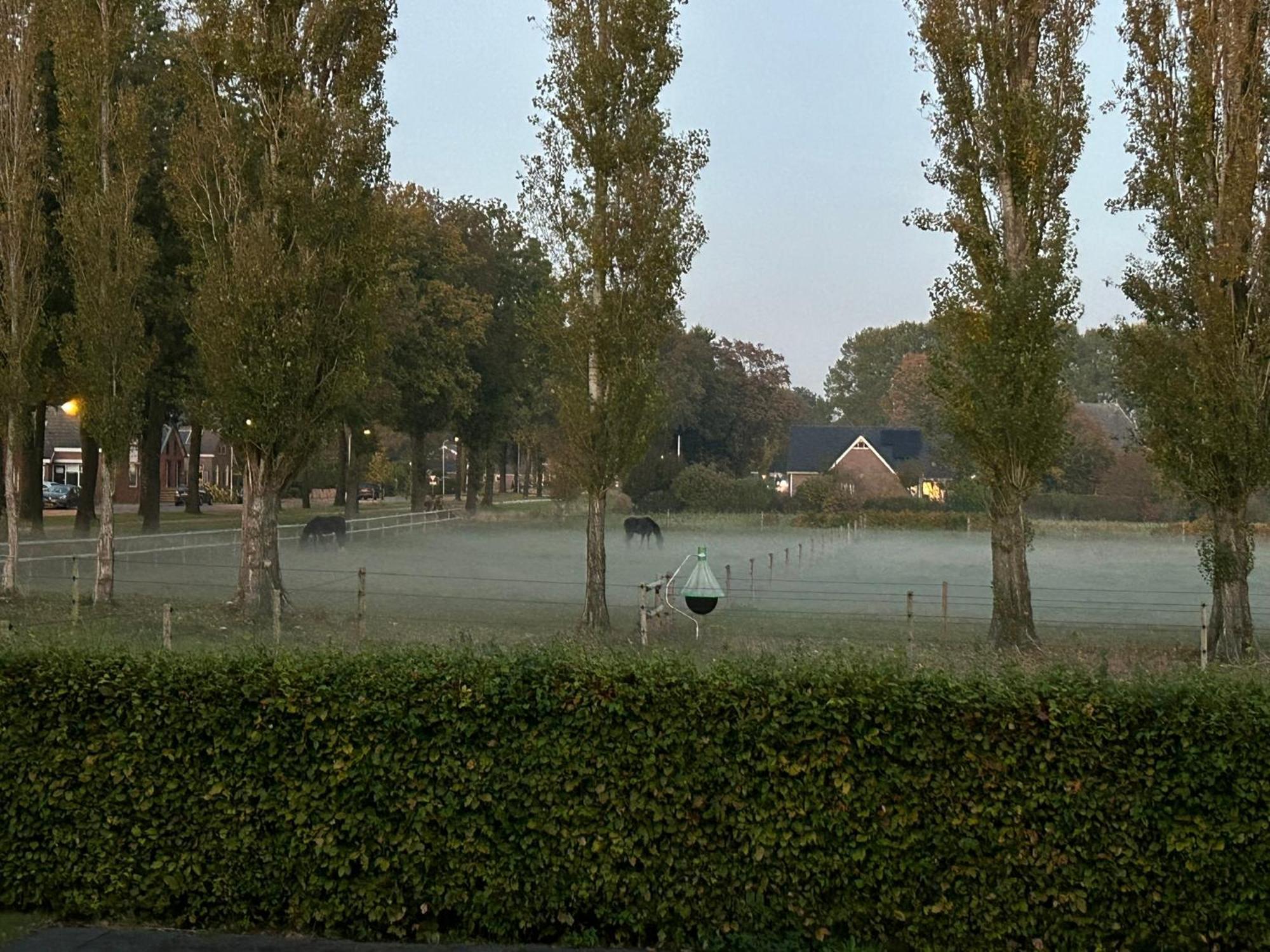 De Cordobahoeve Tweede Exloermond Kültér fotó