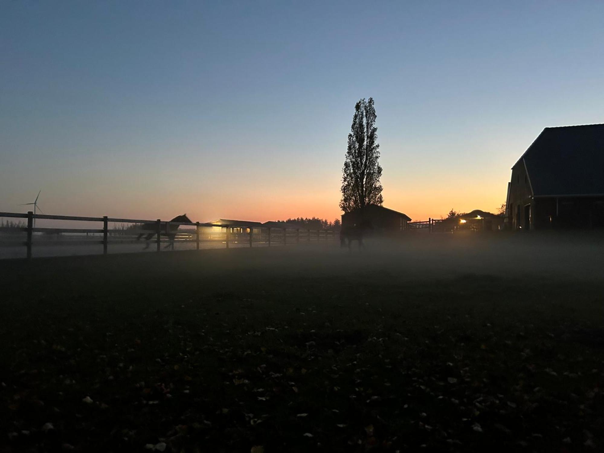 De Cordobahoeve Tweede Exloermond Kültér fotó