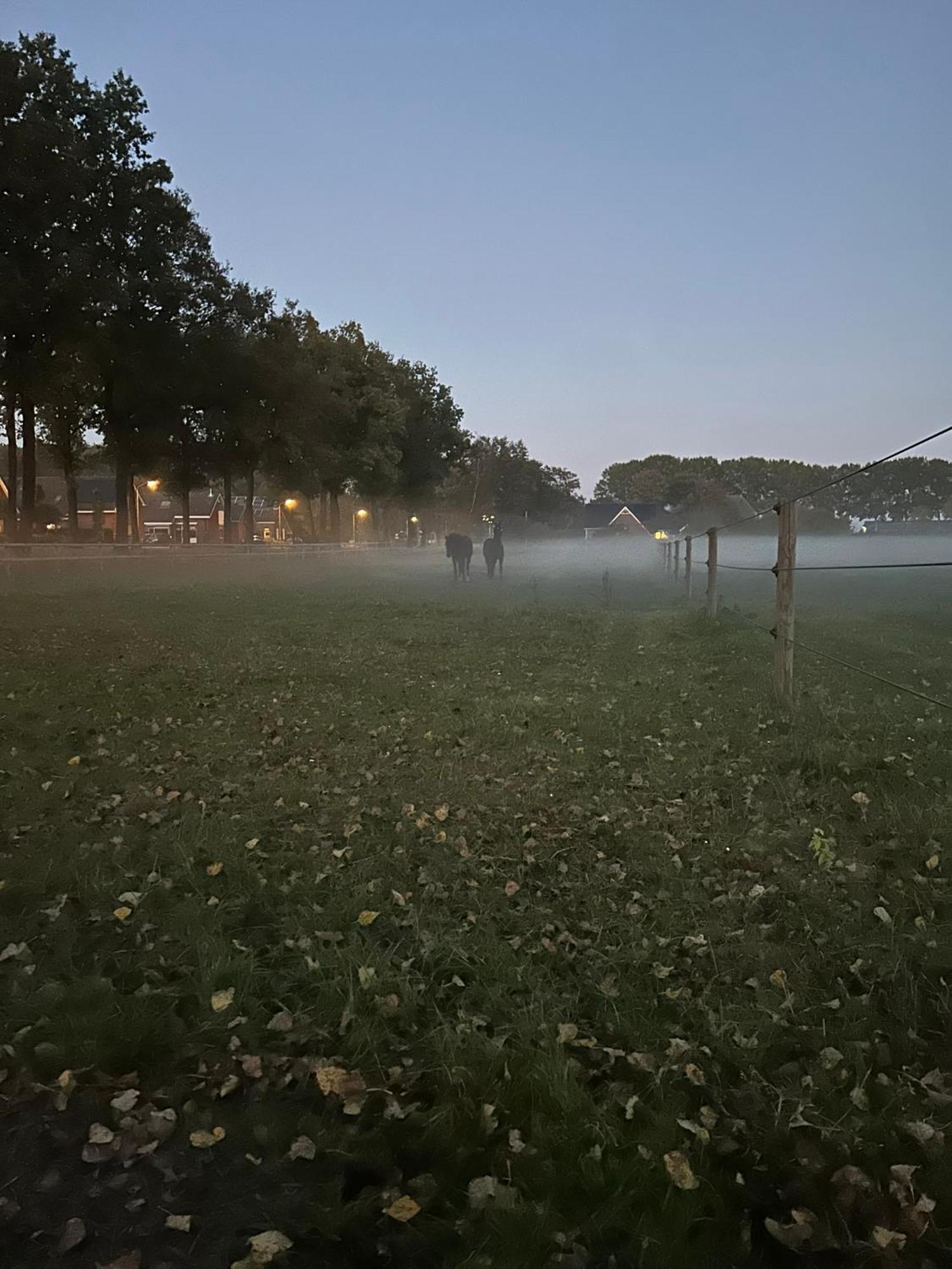 De Cordobahoeve Tweede Exloermond Kültér fotó