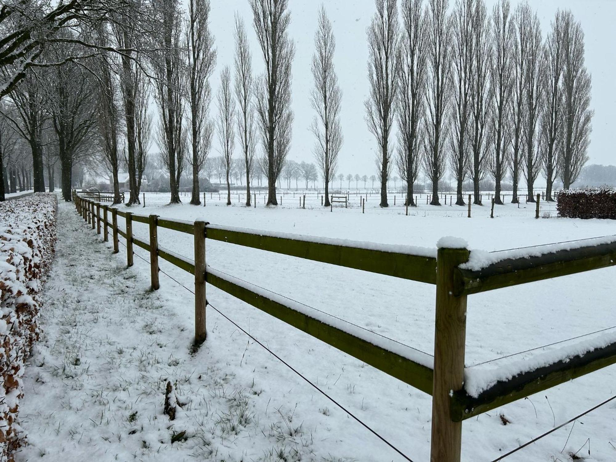 De Cordobahoeve Tweede Exloermond Kültér fotó