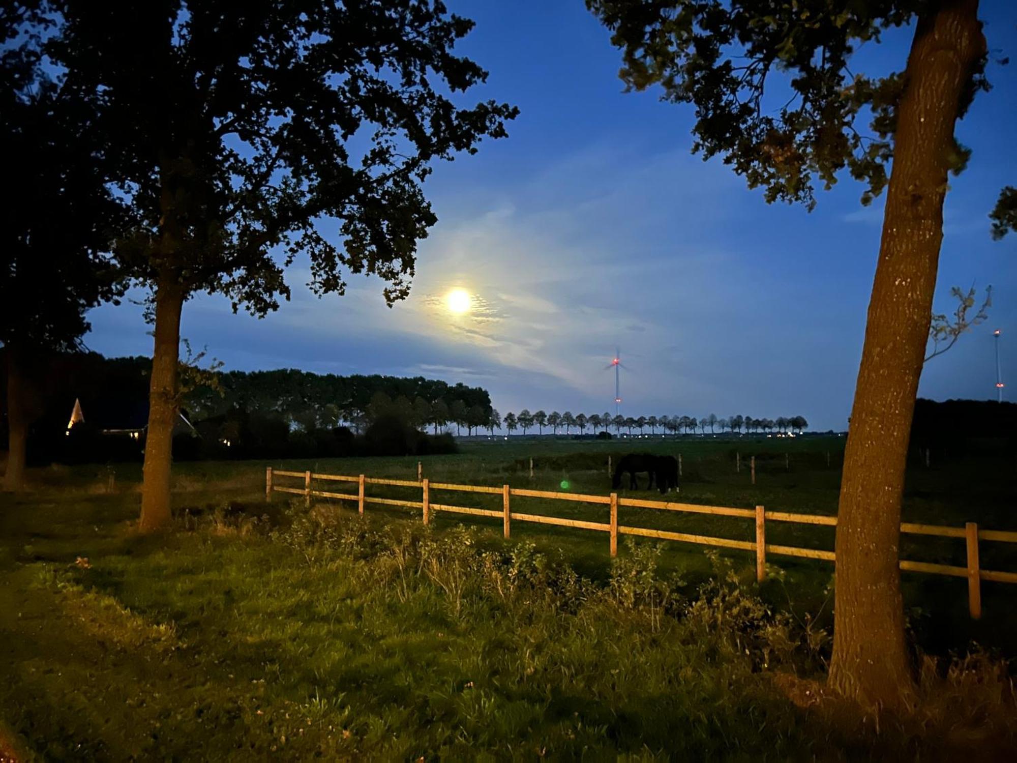 De Cordobahoeve Tweede Exloermond Kültér fotó